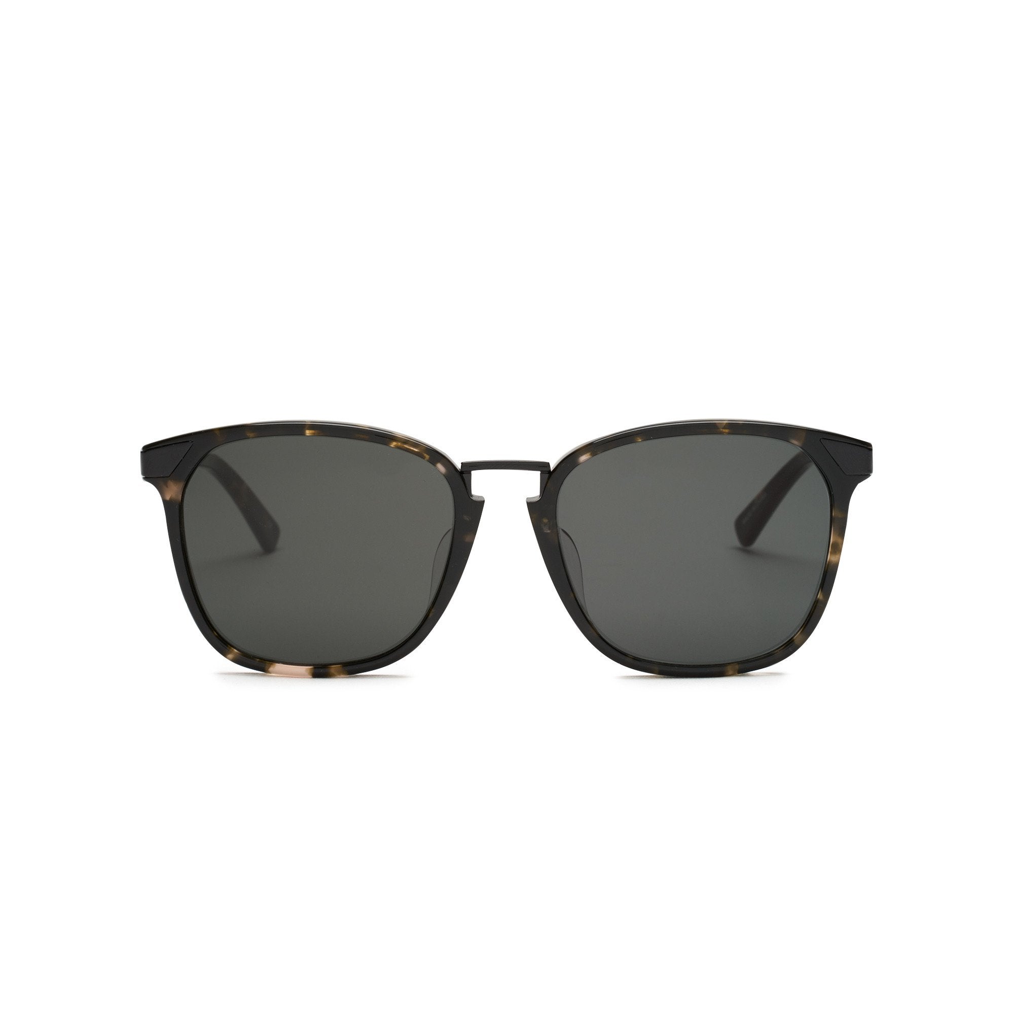 Vega Classic Tortoise Sunglasses