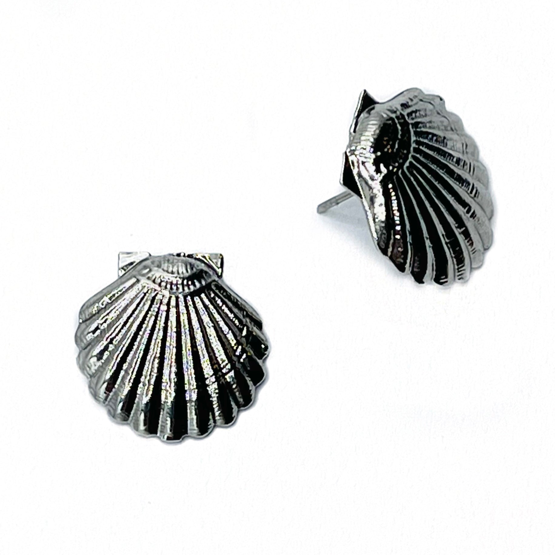 Scallop Shell Earrings