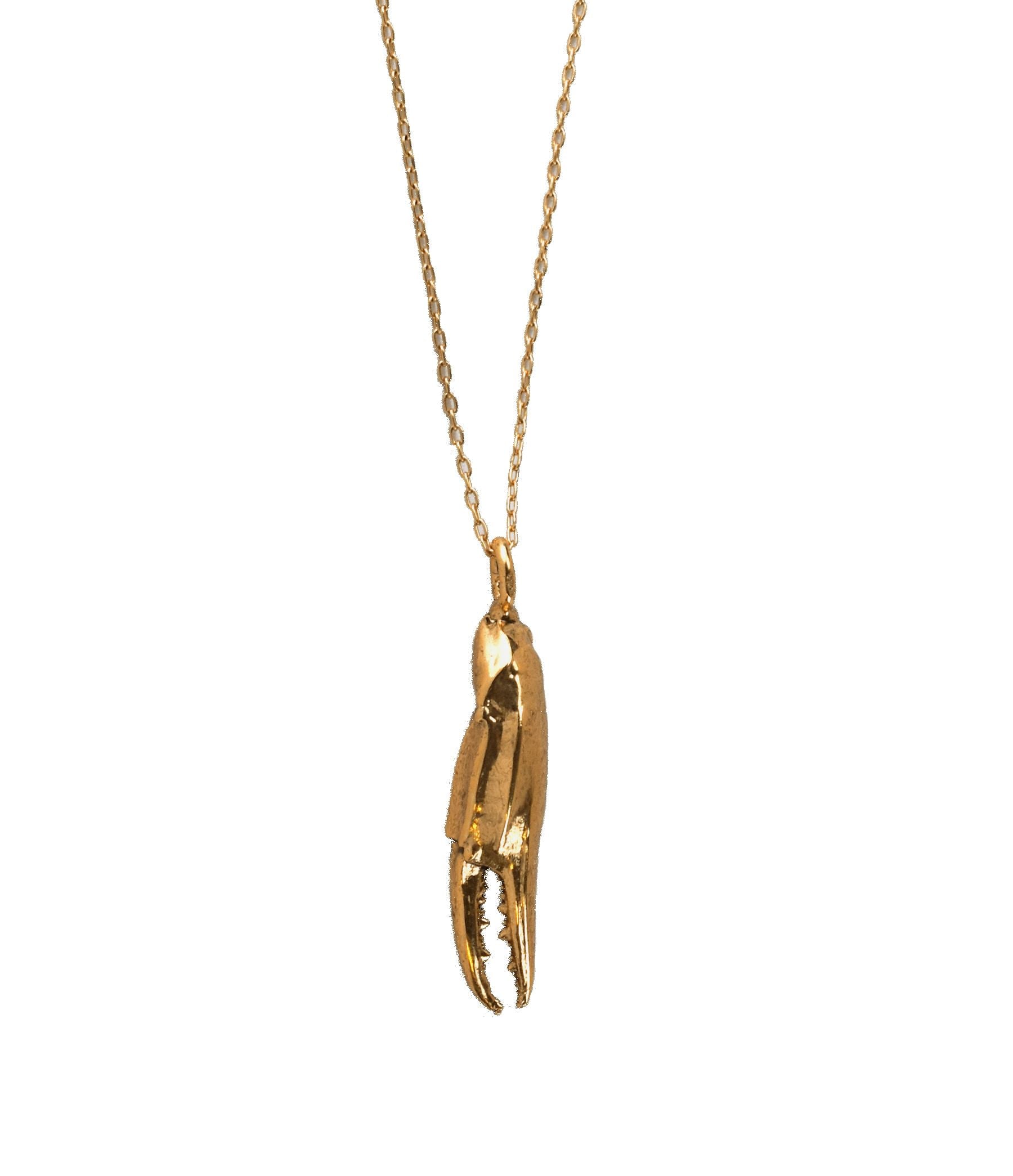 Gold Abalone Crab Necklace